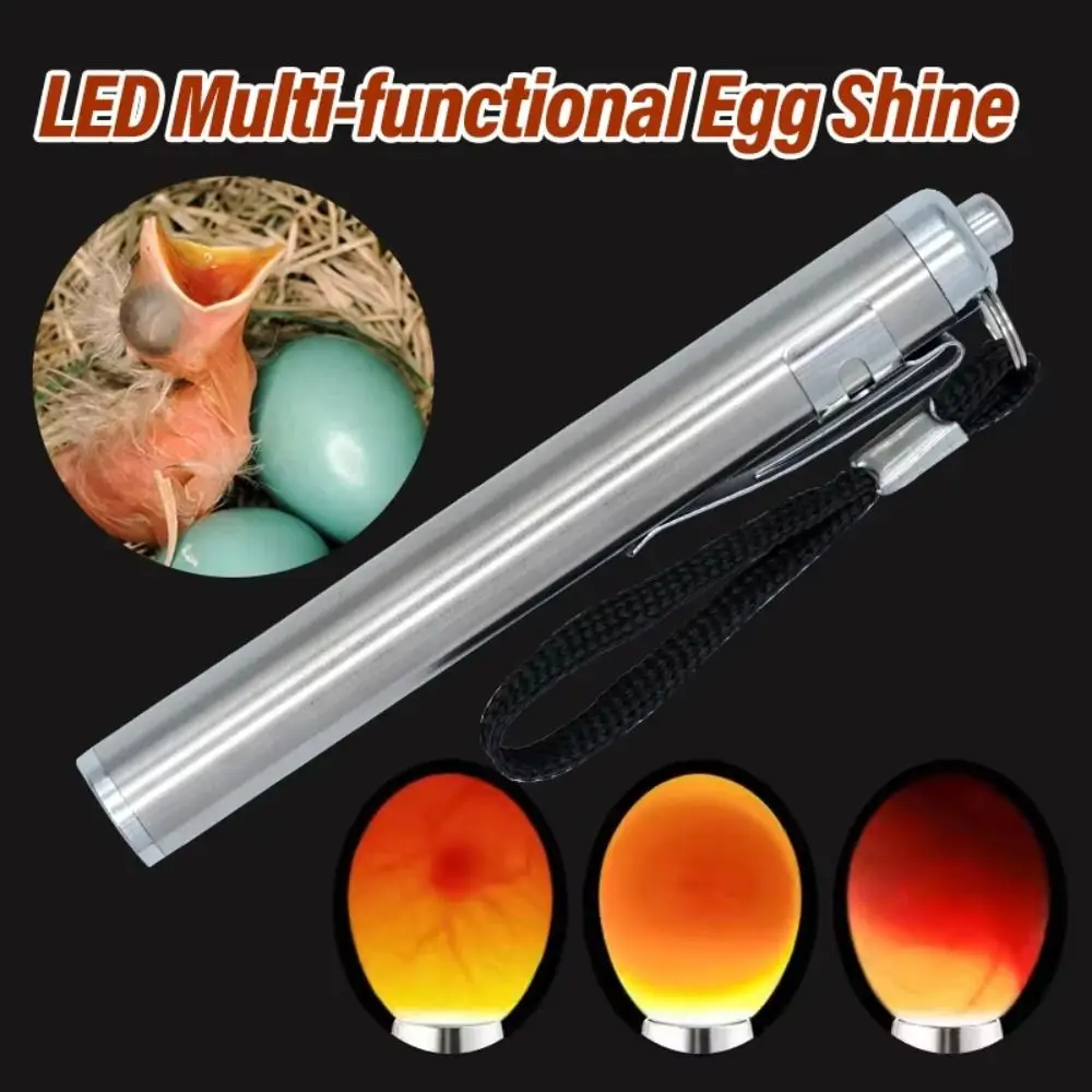 Stainless Steel LED Egg Detector Lamp Cold Light with Flashlight Egg Candler Tester Incubator Eggtester