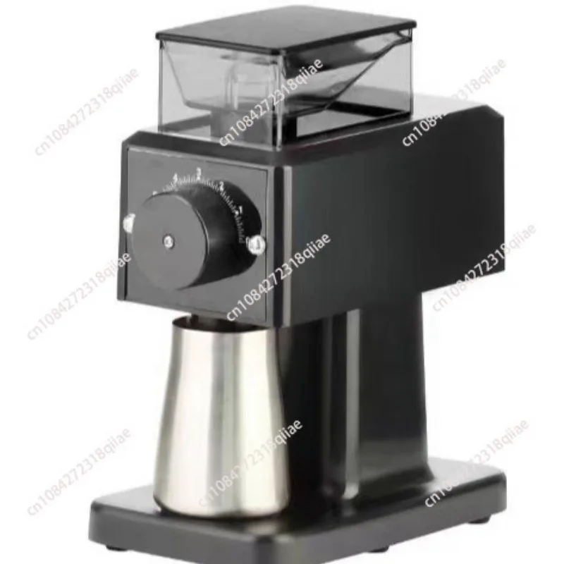 Electric Coffee Bean Grinder with 31 Settings for Drip, French Press & Cold Brew - Small