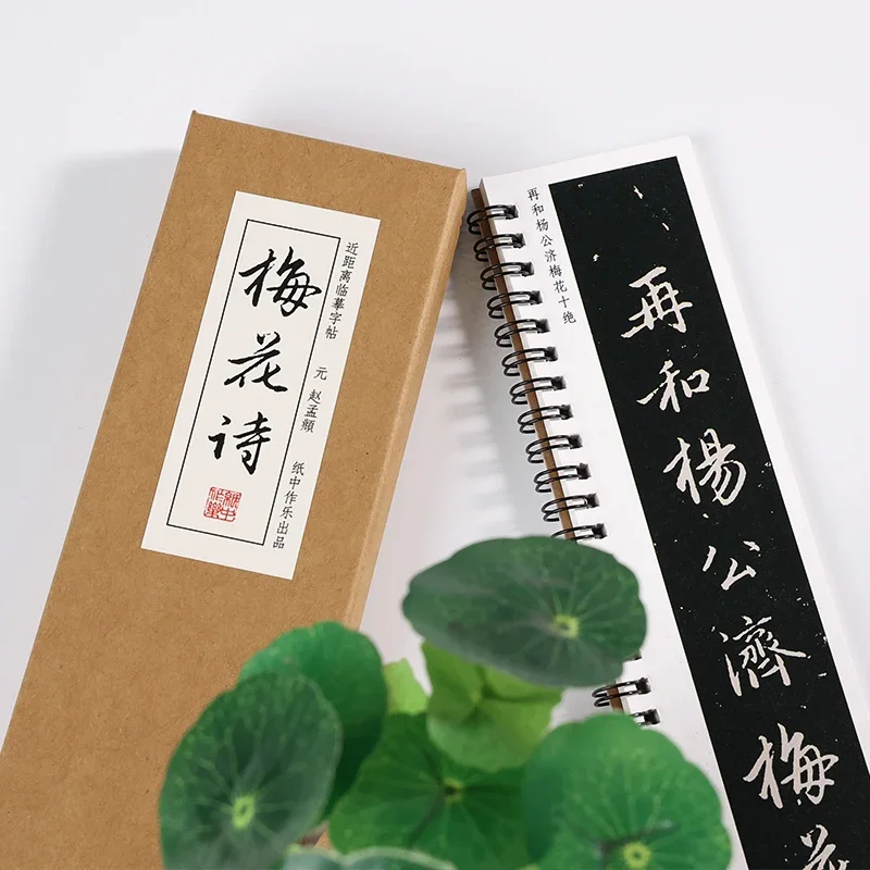 Zhao Mengfu Running Script Calligraphy Copybook Plum Blossom Fu Professional Adult Calligraphy Practice Copying Writing Book