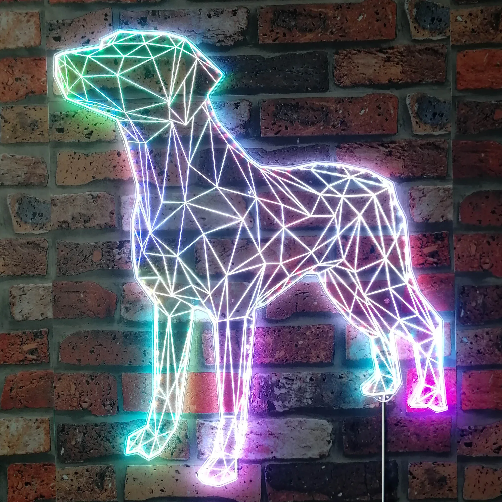 Labrador Retriever Geometric Dog Glam Led Neon Sign st06-fnd-i0016-c