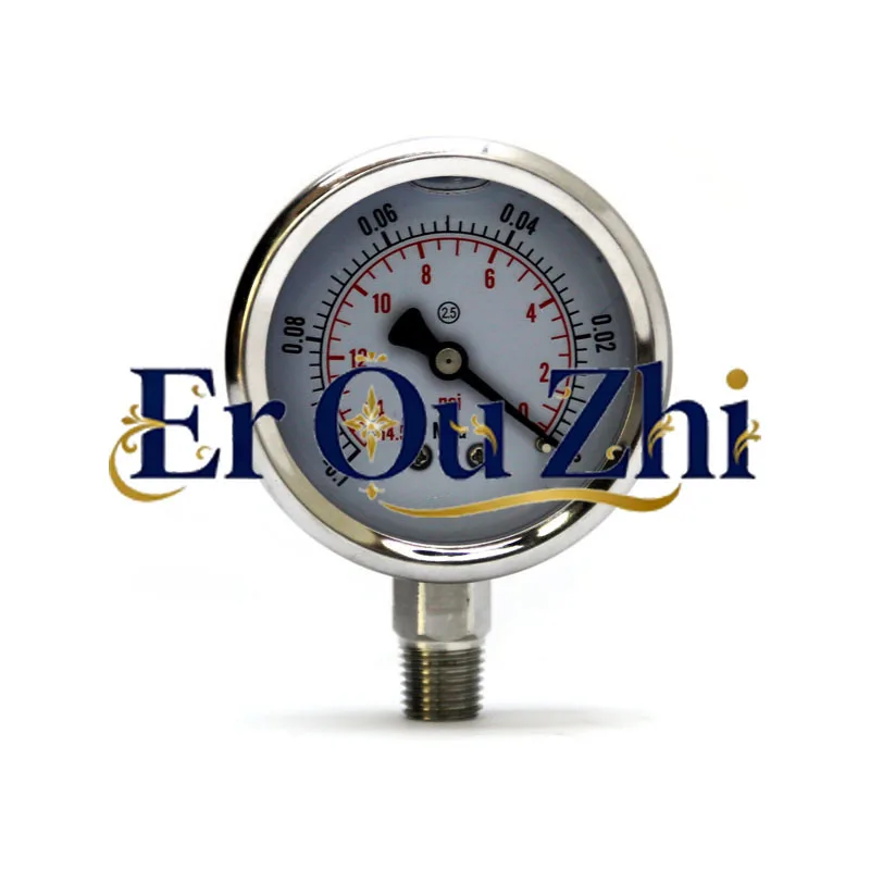 Vacuum Gauge Vacuum Negative Pressure Gauge, Stainless Steel with Dart Vacuum Test Pressure Gauge