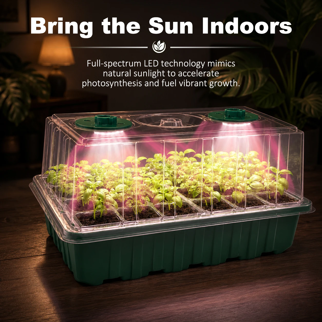 24セル種子スターターキット、8個のLED育成ライト、ドーム - Dome Propagation Kit のレビューと価格