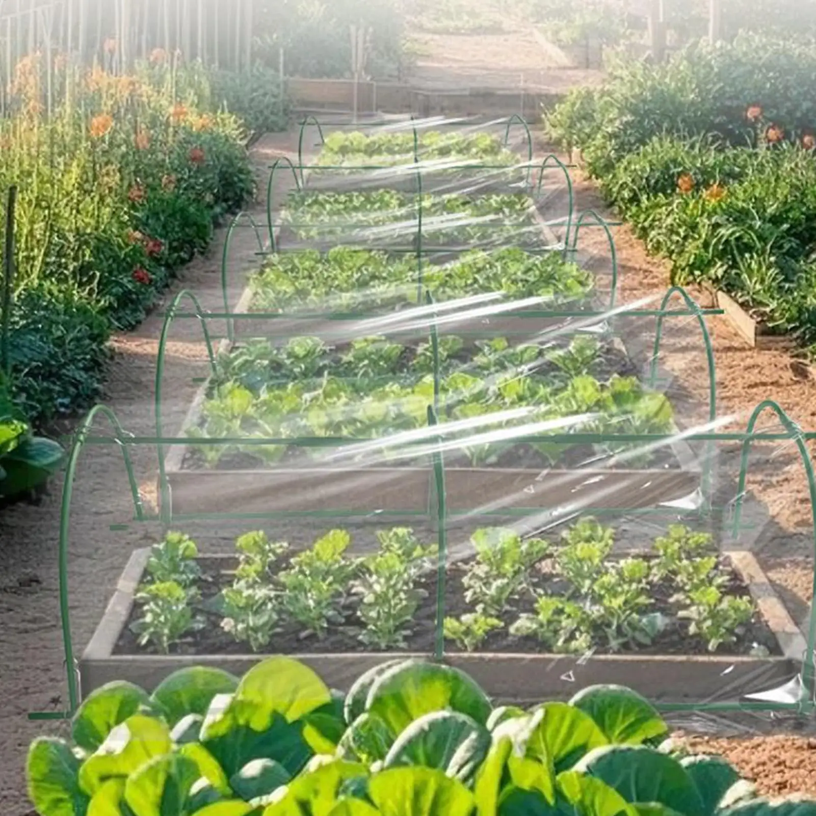 Garden Hoop For Raised Beds Backyard Plant Tunnel Flexible Planting Hoop Grow Tunnel For Garden Orchard Flowerbed Lawn