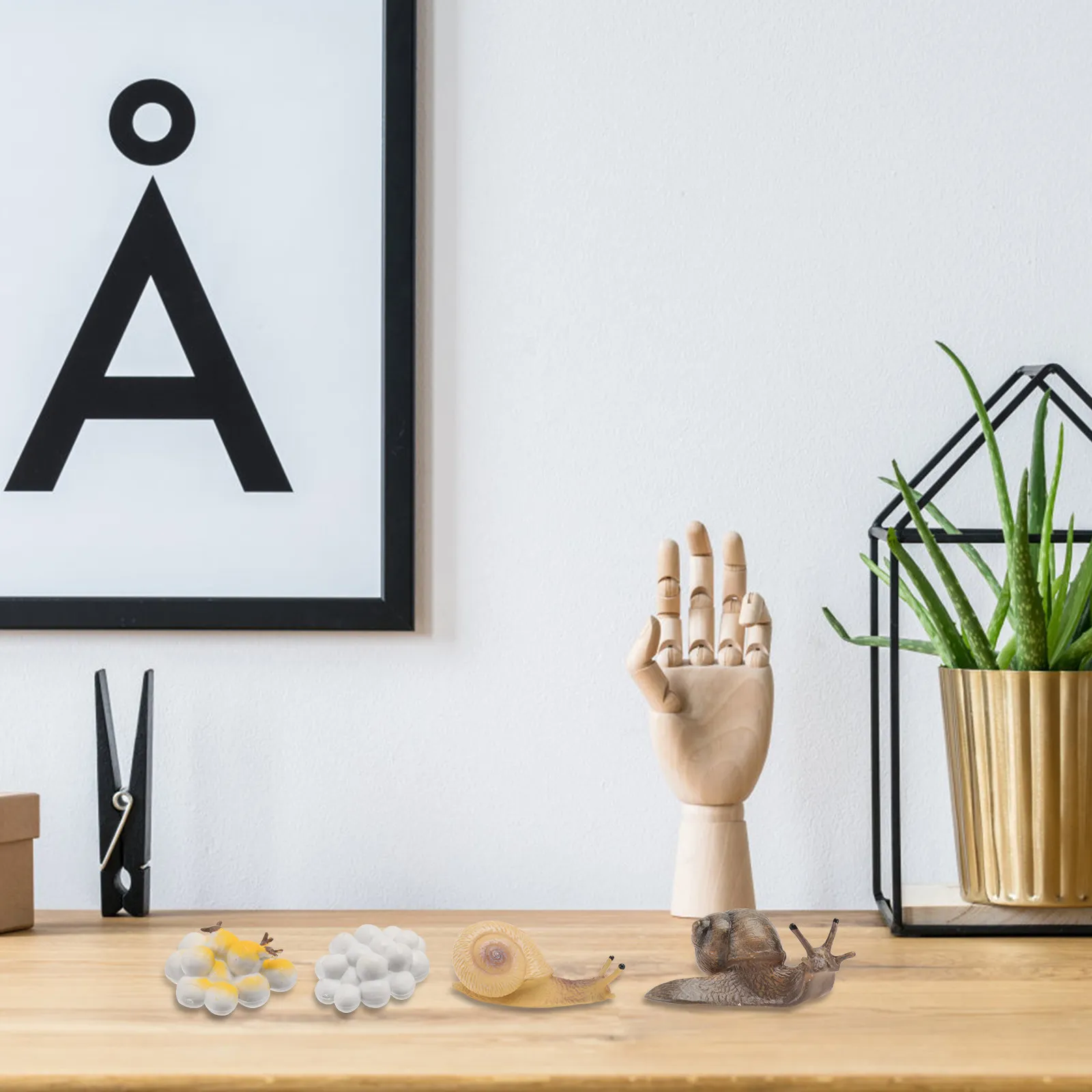 

4pcs Snail Life Cycle Plastic Educational For Kids Cognitive Development Home Garden Decor Ornaments Animals