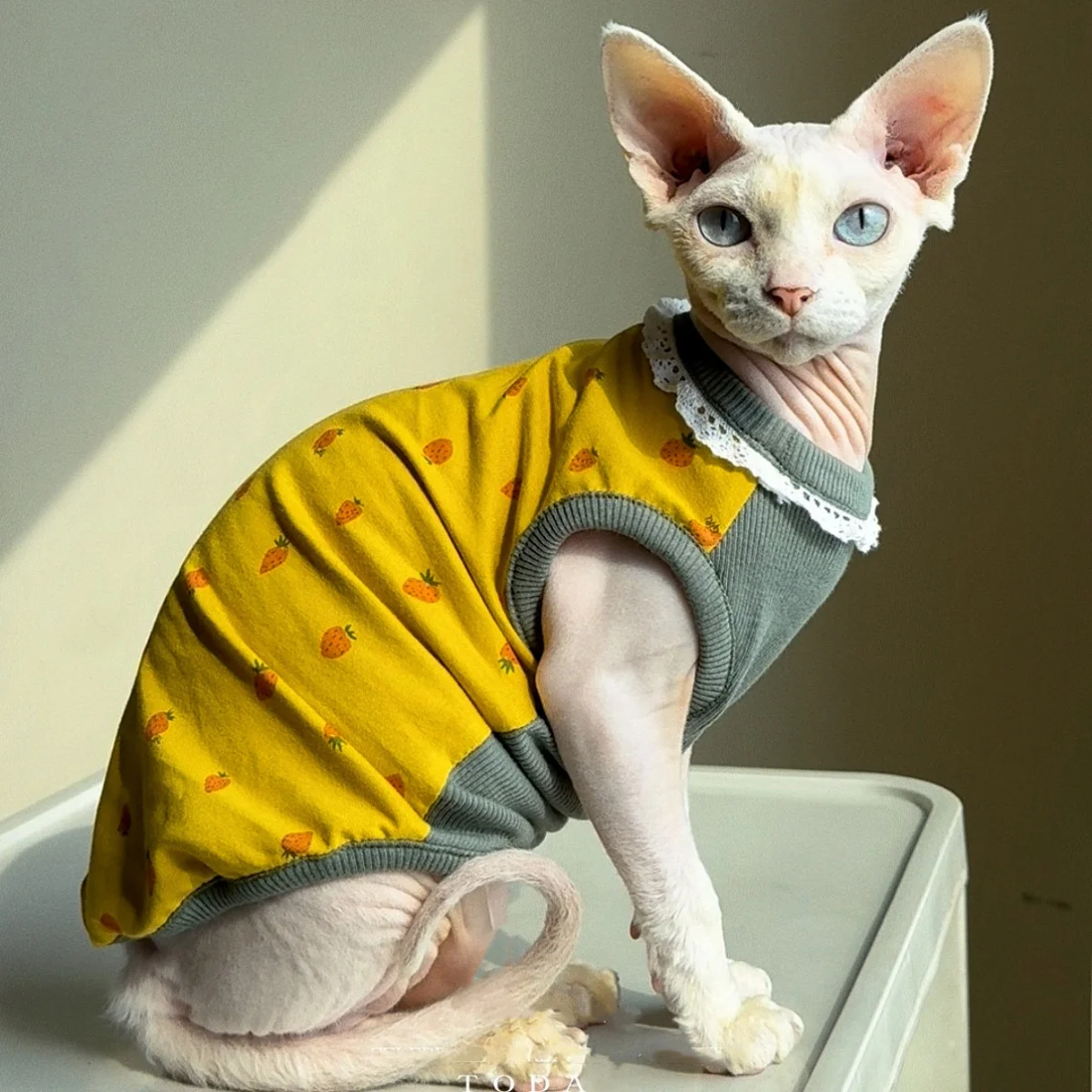 Ropa para Gatos, Chaleco de Algodón con Cuello de Encaje Amarillo Verde Primaveral para Devon Rex, Camiseta sin Mangas para Gatos Sphynx