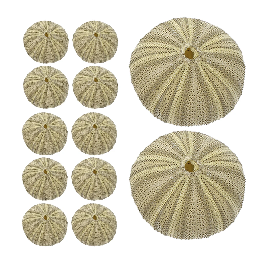 

18 Pcs Sea ​​ Shell Micro Landscaping Adornment Fish Tank Adornments Beach Decor Decorate