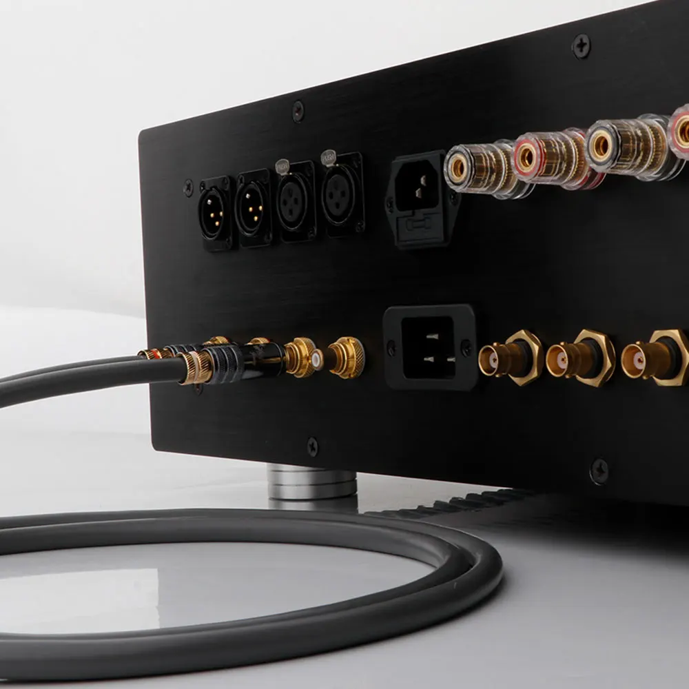 CARDAS TWINLNK IIC Бескислородная медь Аудиокабель RCA Двойной Lotus 2RCA штекер на 2RCA штекер Сигнальный соединительный кабель