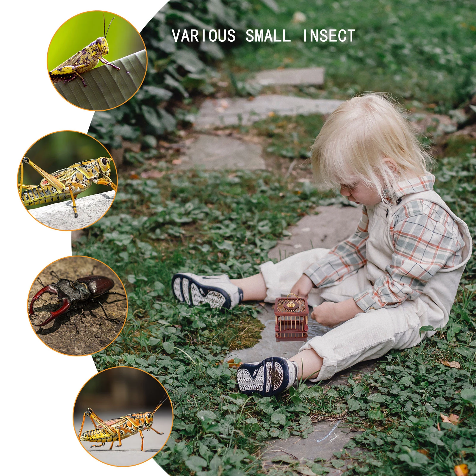 

1pc Mini High- Sandalwood Insect Storage Cage For Crickets Grasshoppers Butterflies Kids Outdoor Exploration Tool