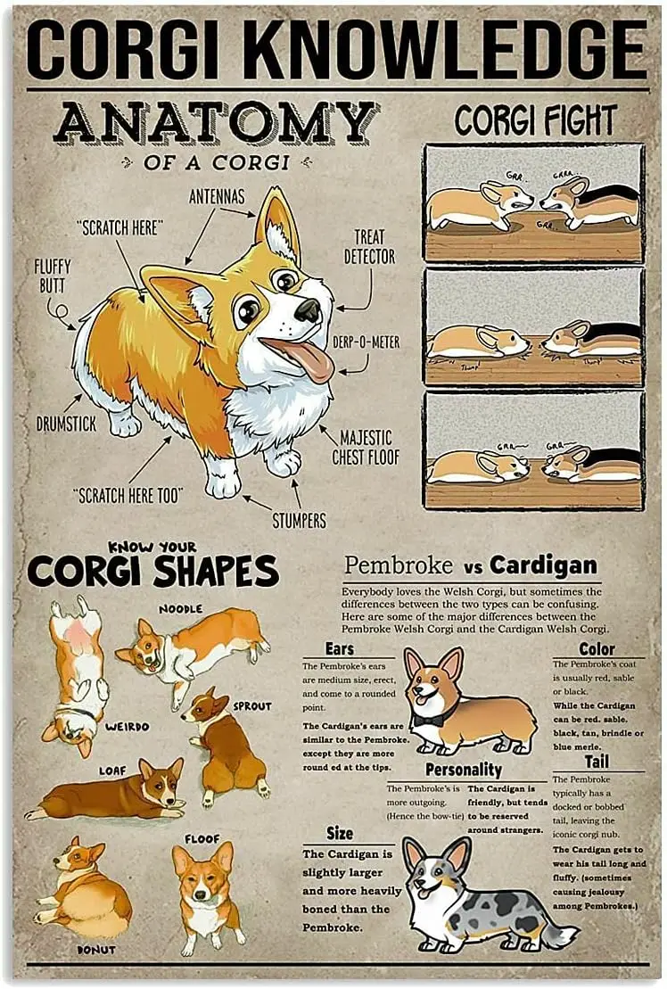 Panneau en étain en métal drôle, chien de connaissance Corgi, chaque détail de Corgi, cadeau pour amoureux, Vase, fleurs, affiche, Plaque, décor d'entrée Gal
