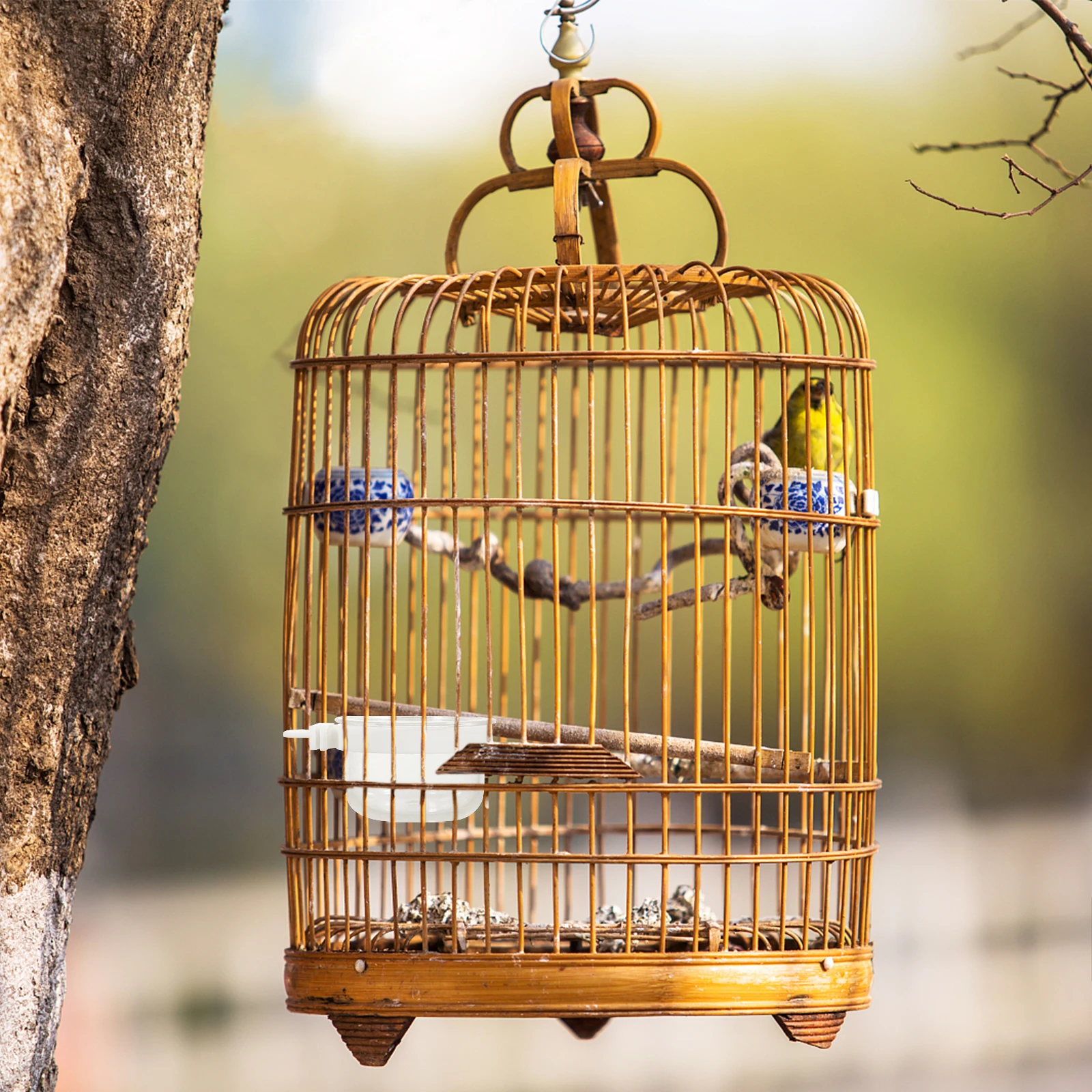 

Totority 5Pcs Hanging Parrot Bowls Multi-Function Bird Feeder for Outdoor Household Seed Food Water Accessory