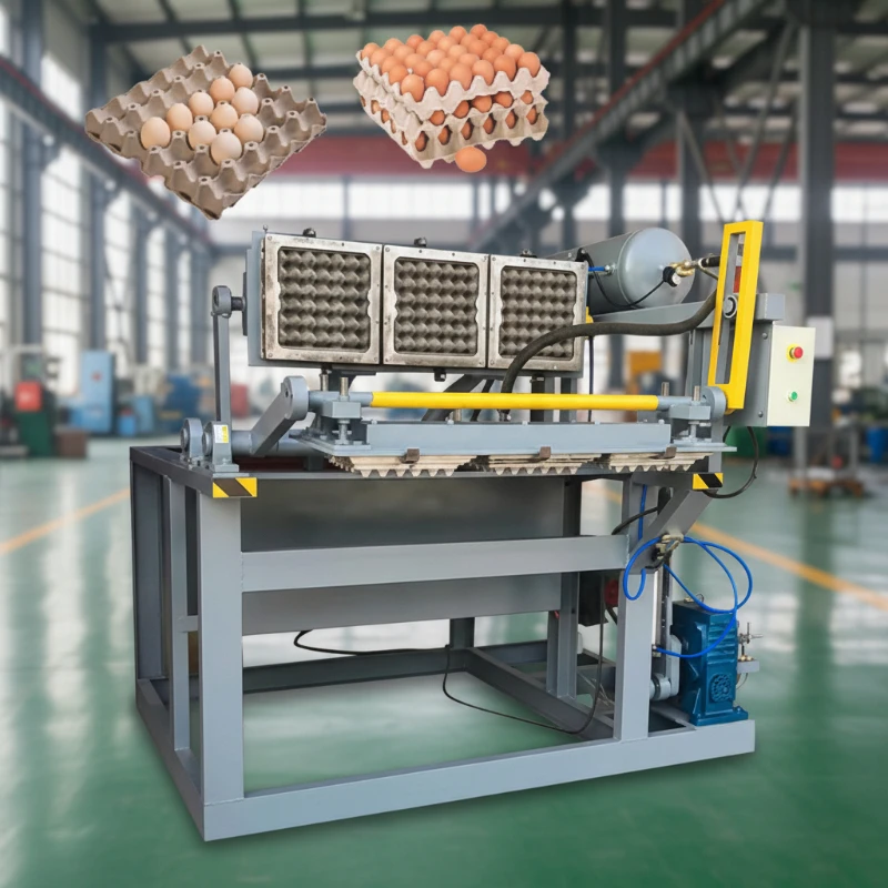 Wholesale Small Scale Egg Tray Machine Making Egg Tray Manufacturing Machine Automatic Waste Paper Pulp Molding Machine