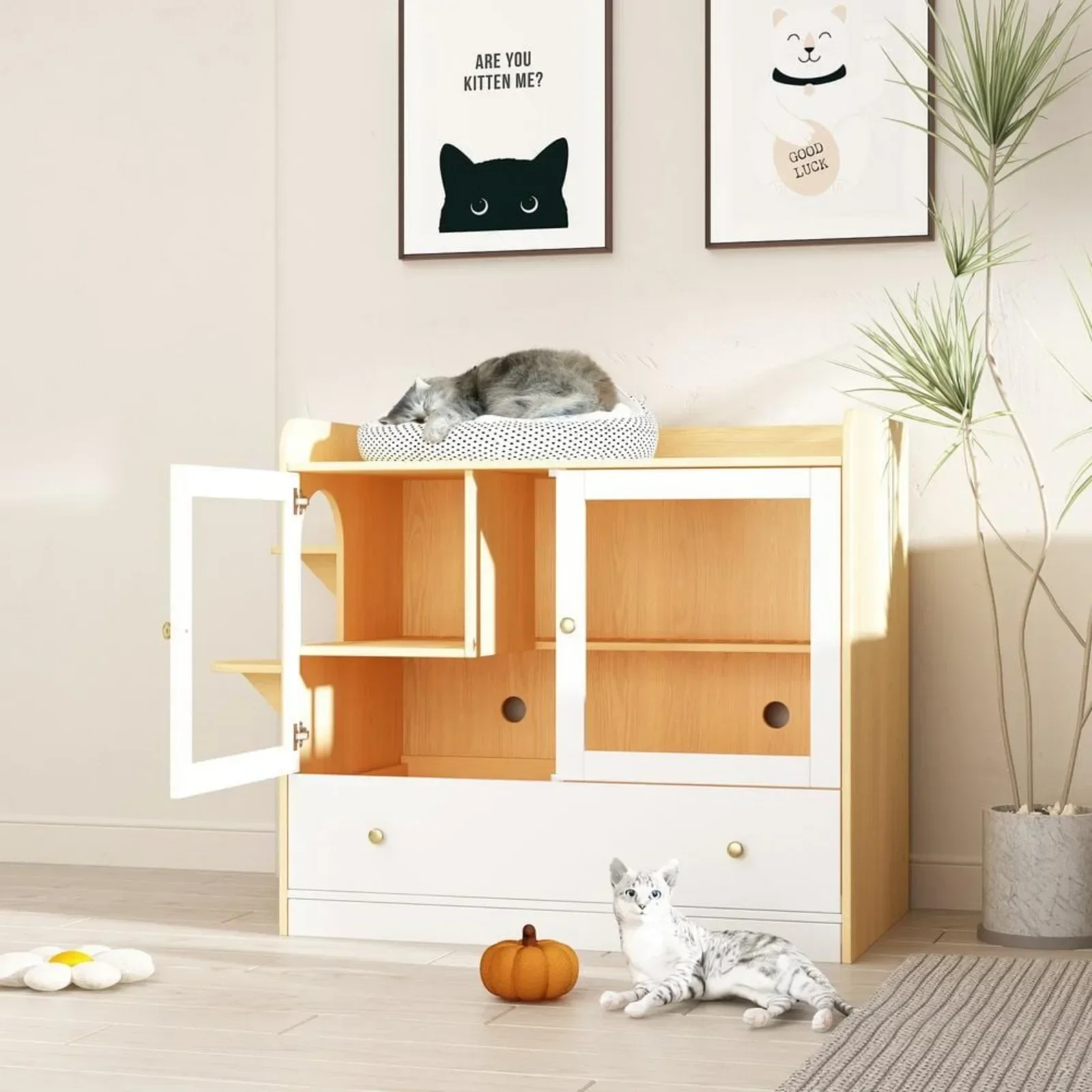 -condominio para gatos, casa para mascotas con escaleras, interior casa arena para gatos, blanco con registro