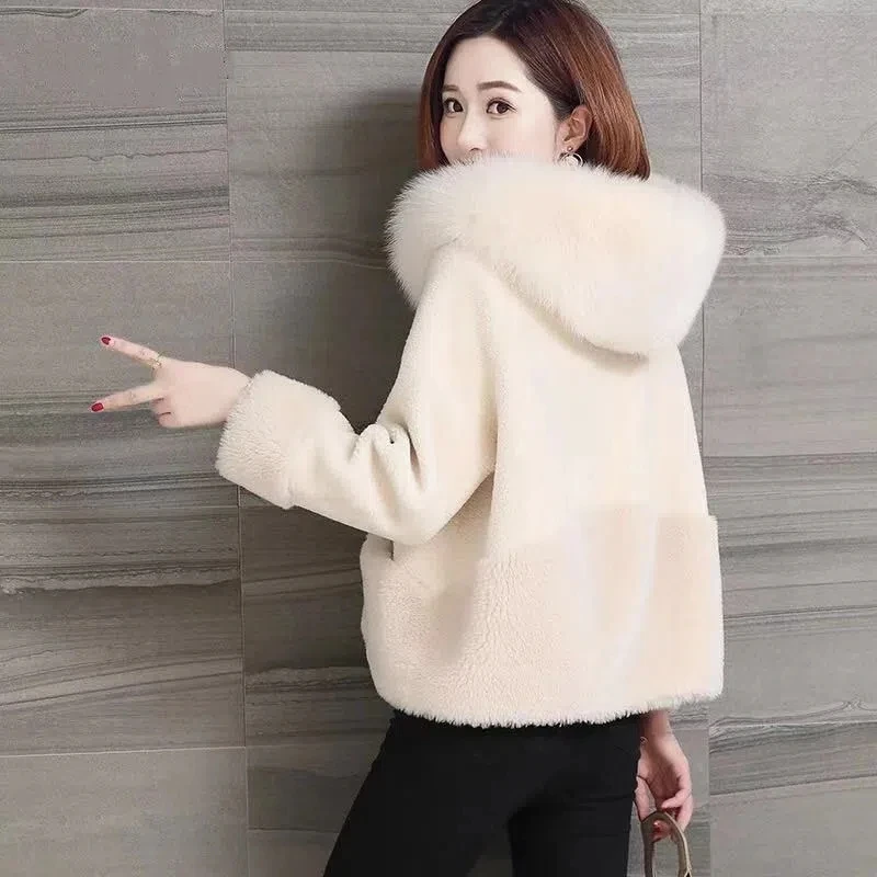 Faux Fur Coat Women\'s Sheep Shearling Autumn And Winter New Granular Velvet Korean Coat Short Fox Fur Collar Hooded Coat Female