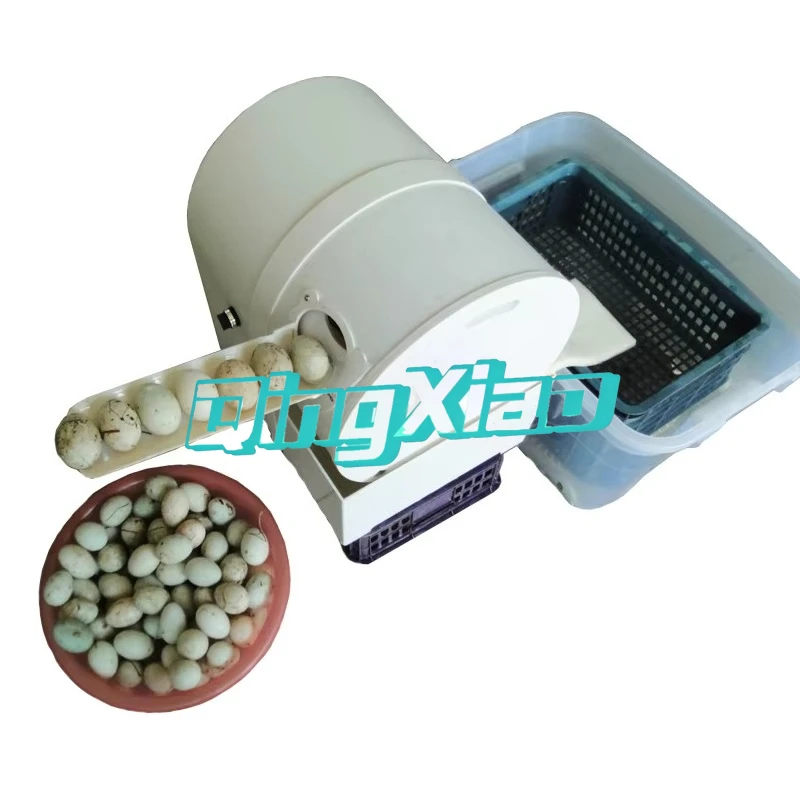 

New Type Egg Cleaning Machine Chicken Egg Washer Mall Egg Washing Machine Food Supporting Equipment