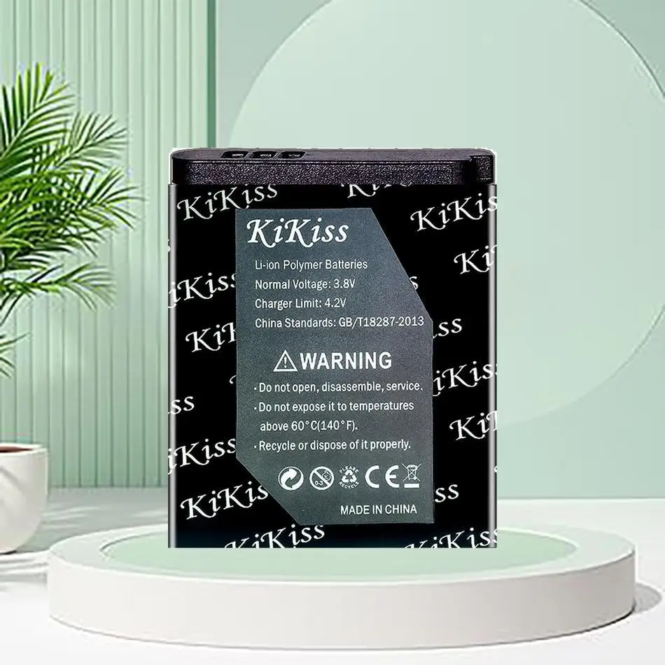 DMW-BCN10 Battery F…