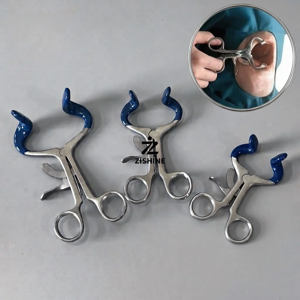 Dental Mouth Gag Opener Stainless Steel Plier Cheek Retractor 10 Levels Adjustable Lip Expander 1Pcs/3Pcs Set Clinic Tools