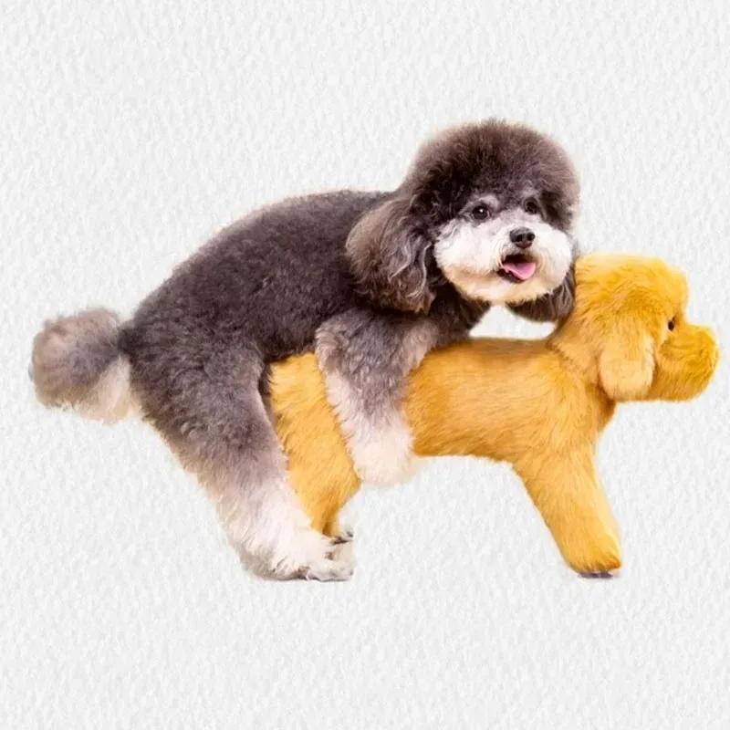 Brinquedo de acasalamento de cachorro masculino, parceiro sexual de ventilação, suprimentos para animais de estimação, autônomo, boneca inflável, suprimentos para animais de estimação, namorada