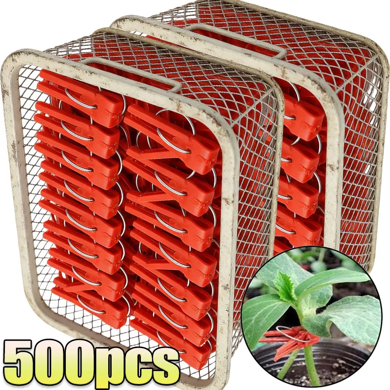 

Клипсы для прививки растений, красные, многоразовые, для поддержки рассады, фиксаторы для виноградной лозы, зажимы для арбузов, огурцов, овощей, садовые инструменты