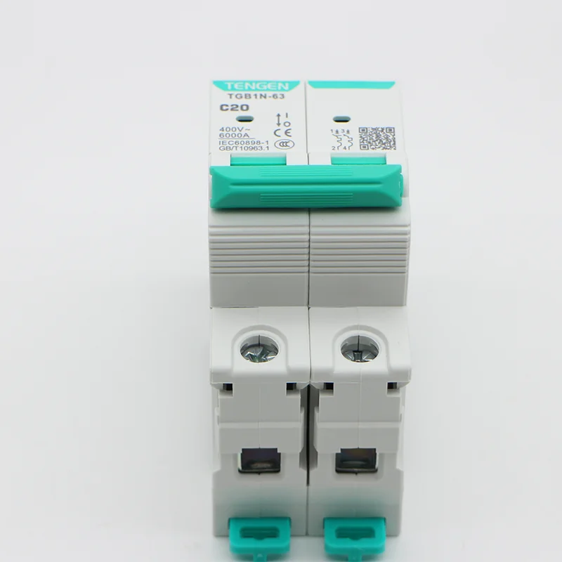 TGB1N-63 2P C20 Miniature Circuit Breaker (MCCB) for Electrical Systems - Compact And Reliable Protection