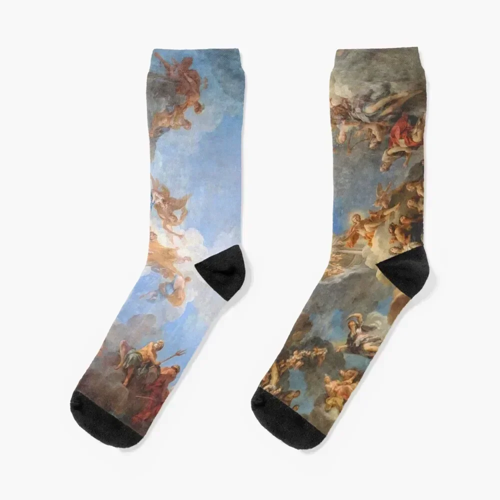 

Fresco of Angels in the Palace of Versailles Socks with print soccer anti-slip kids hiphop Male Socks Women's