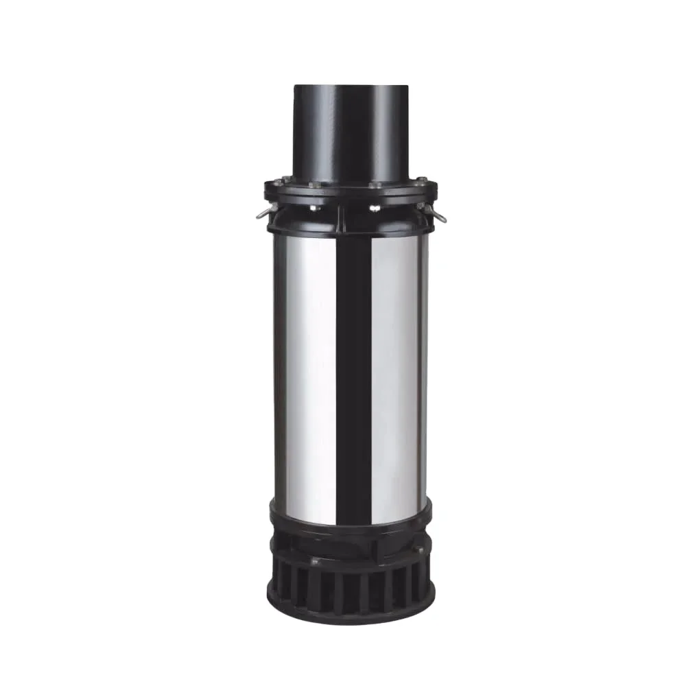 

10 Inch Submersible Large Volume Pumps for Fish/shrimp Farming