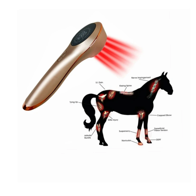 

Cold Laser Human/Vet Device with LED Display Targets Joint and Muscles Directly for Pain Cold Laser Therapy Device for Dogs