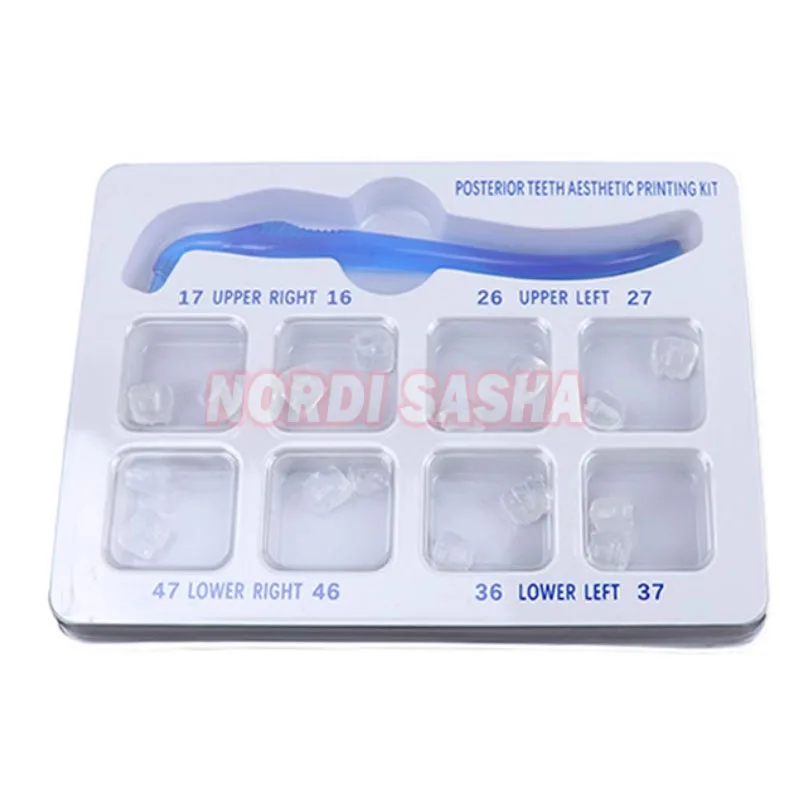 1Set Dental Resin Veneer Posterior Teeth Aesthetic Printing kit Dental Light-curing Resin Filling Molding Remodeling Molds