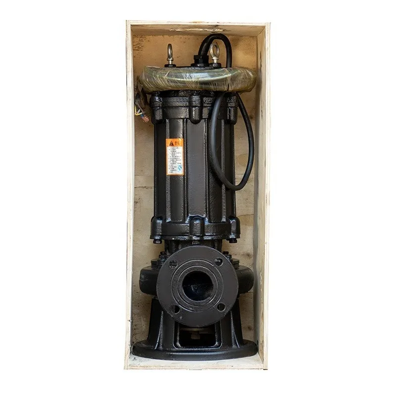 

Portable Non-Clogging Sewage Transfer Pump Station Efficient Submersible Centrifugal Pump at Affordab
