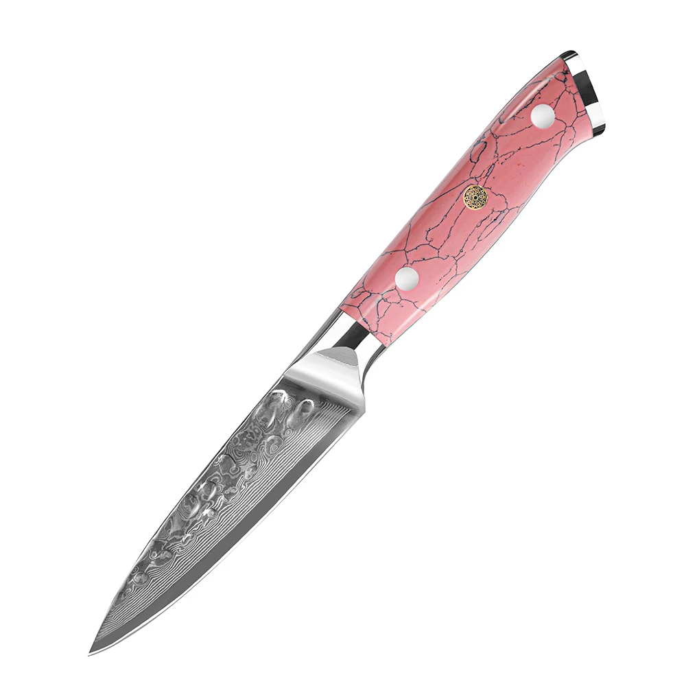YAN Professional Damascus Steel Chef Kitchen Knife Japanese AUS-10 Core 3.5 Inch Paring Knife Pink Turquoise Resin Handle