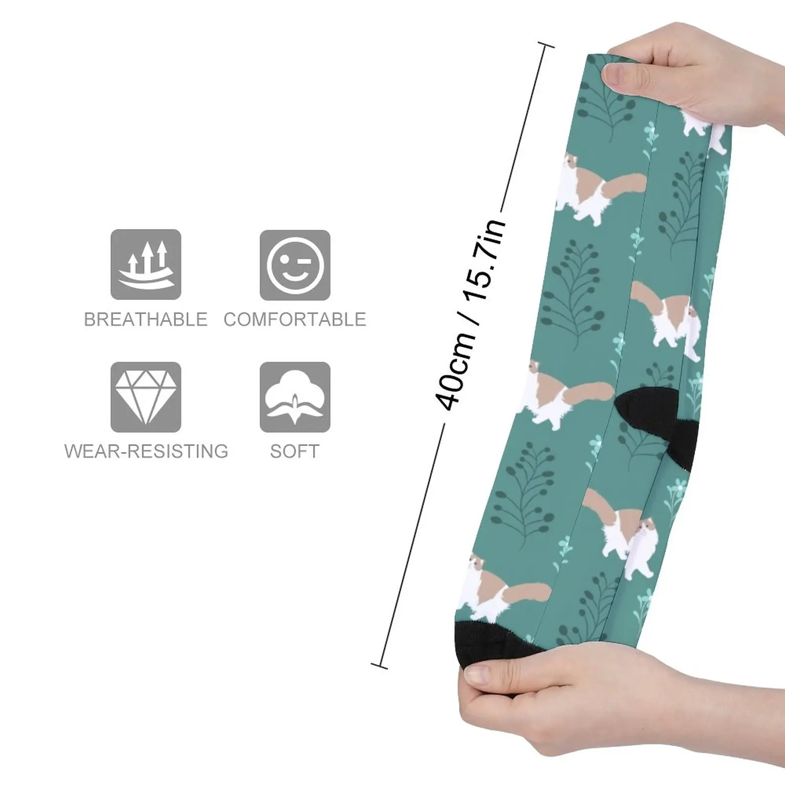 Elegant Ragdoll Cat Socks winter socks men socks for man new in Men's socks