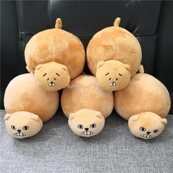 15cm Anime Doma Umaru Tottoko Hamutaro Plush Doll Hamster Stuffed Cosplay Toy for Gift