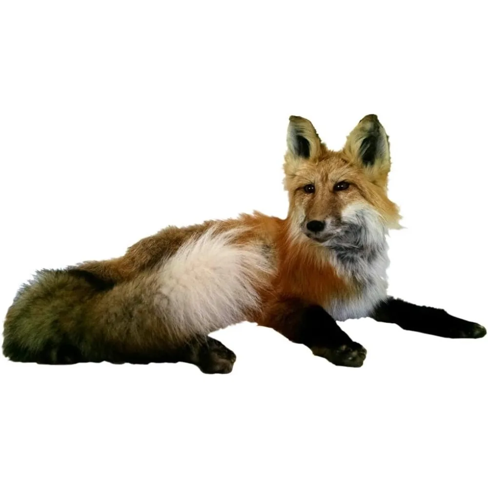 

The Seated Red Fox Animal Specimen Peeling Statue Is Professionally Completed for Specimen Peeling Decoration Crafts Home Decor