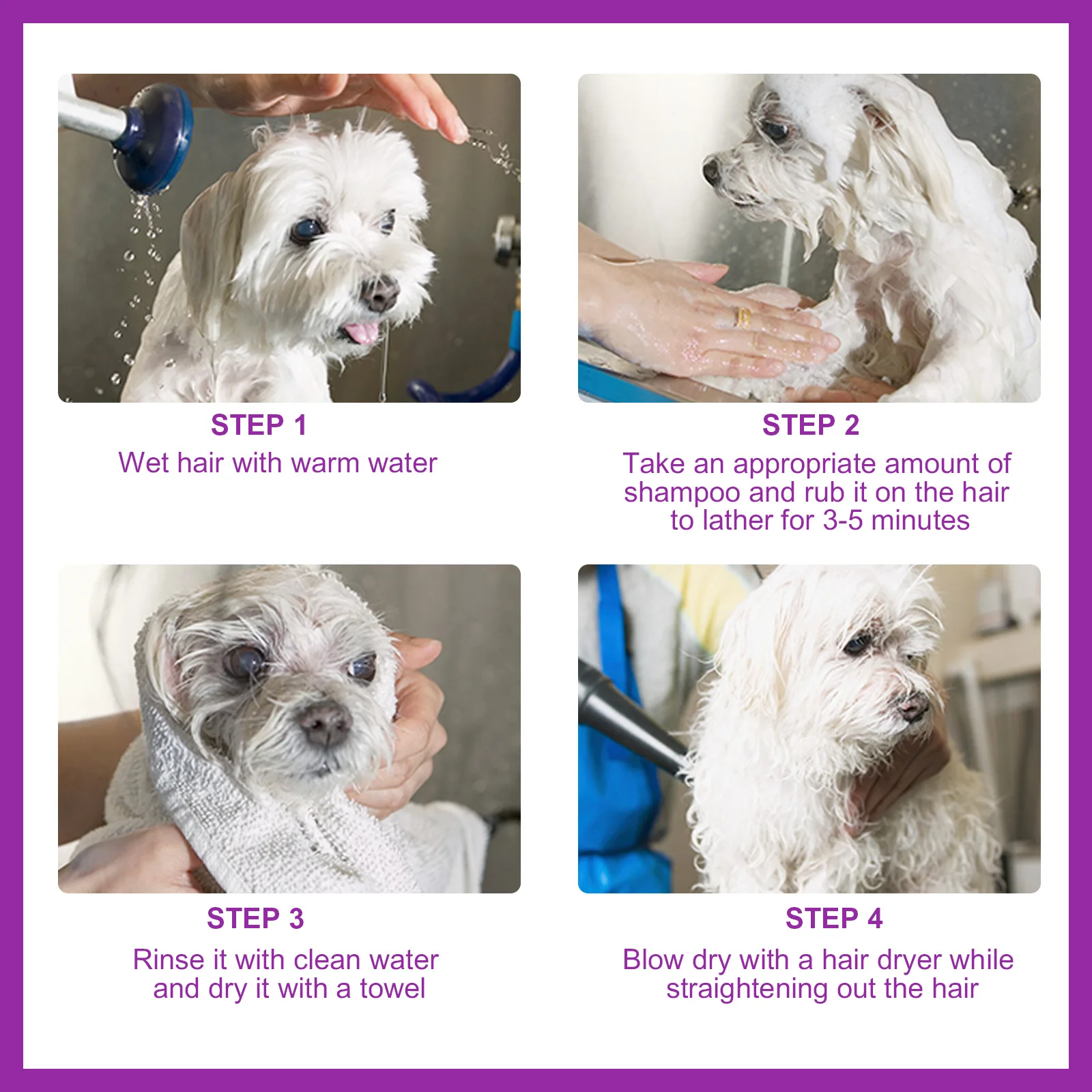 Pet shampoo, dog shower gel, long-lasting fragrance, mite removal, dirt removal, cat shampoo. Pets like it