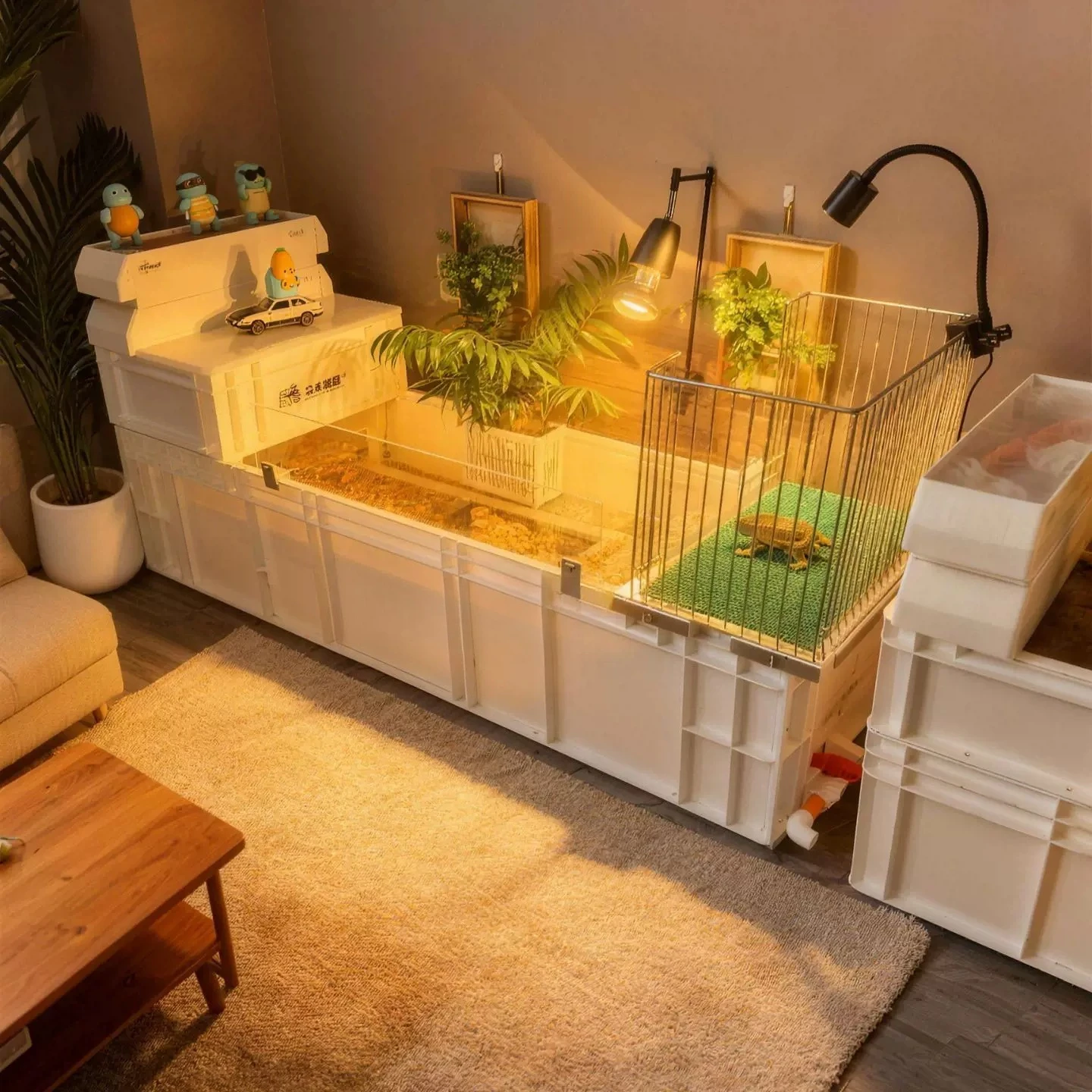 Large, no need to pull tendons, turtle box, thickened quality, special turtle tank for raising,  box for family