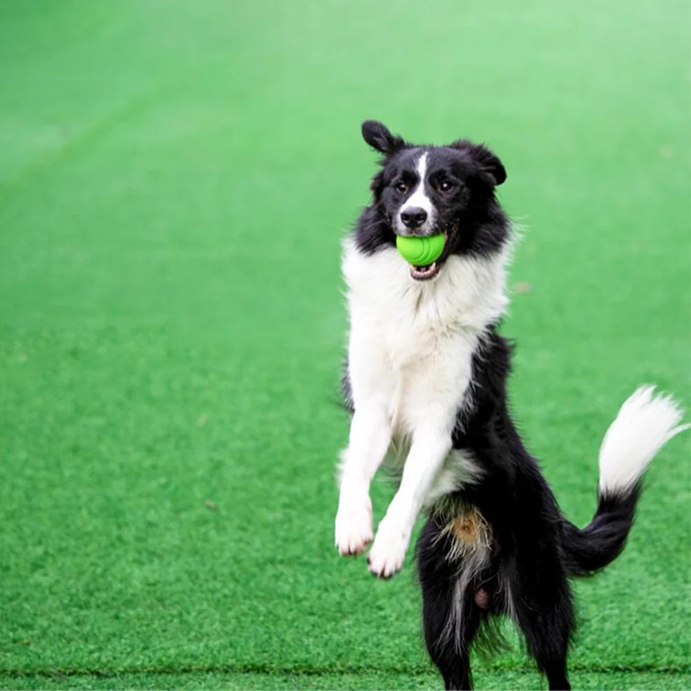 Hundespielzeug Hundeball Hunde-TPR-Ball Widerstandsfähiges Kauspielzeug für Hunde Outdoor-Wurf- und Auffangtraining für Hunde – Detail 8