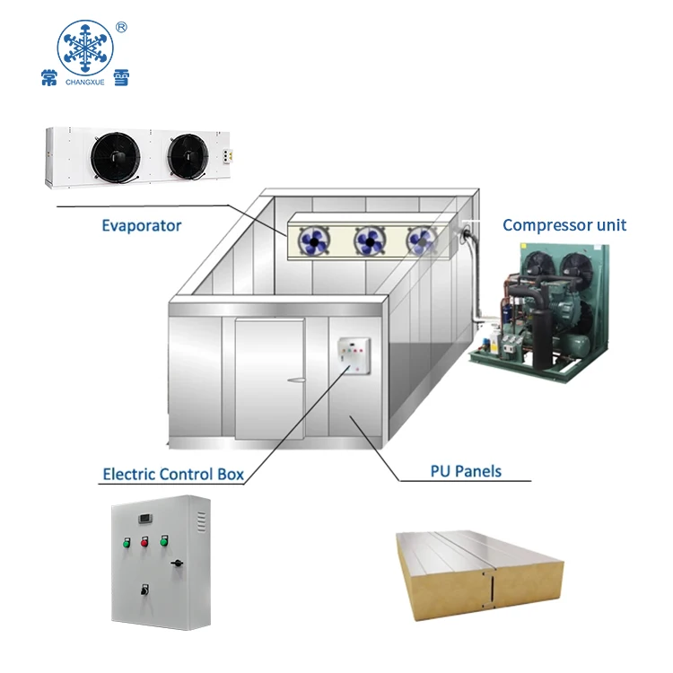 Camminata nella stanza del refrigeratore per stoccaggio del congelatore nella stanza fredda in vendita