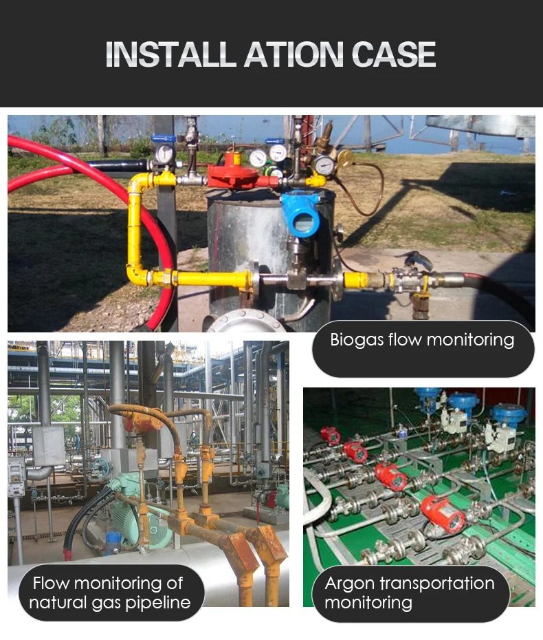 Insertion Natural Gas Flowmeter Coal Gas LPG Co2 Mass Flowmeter Thermal Gas Mass Flow Meter