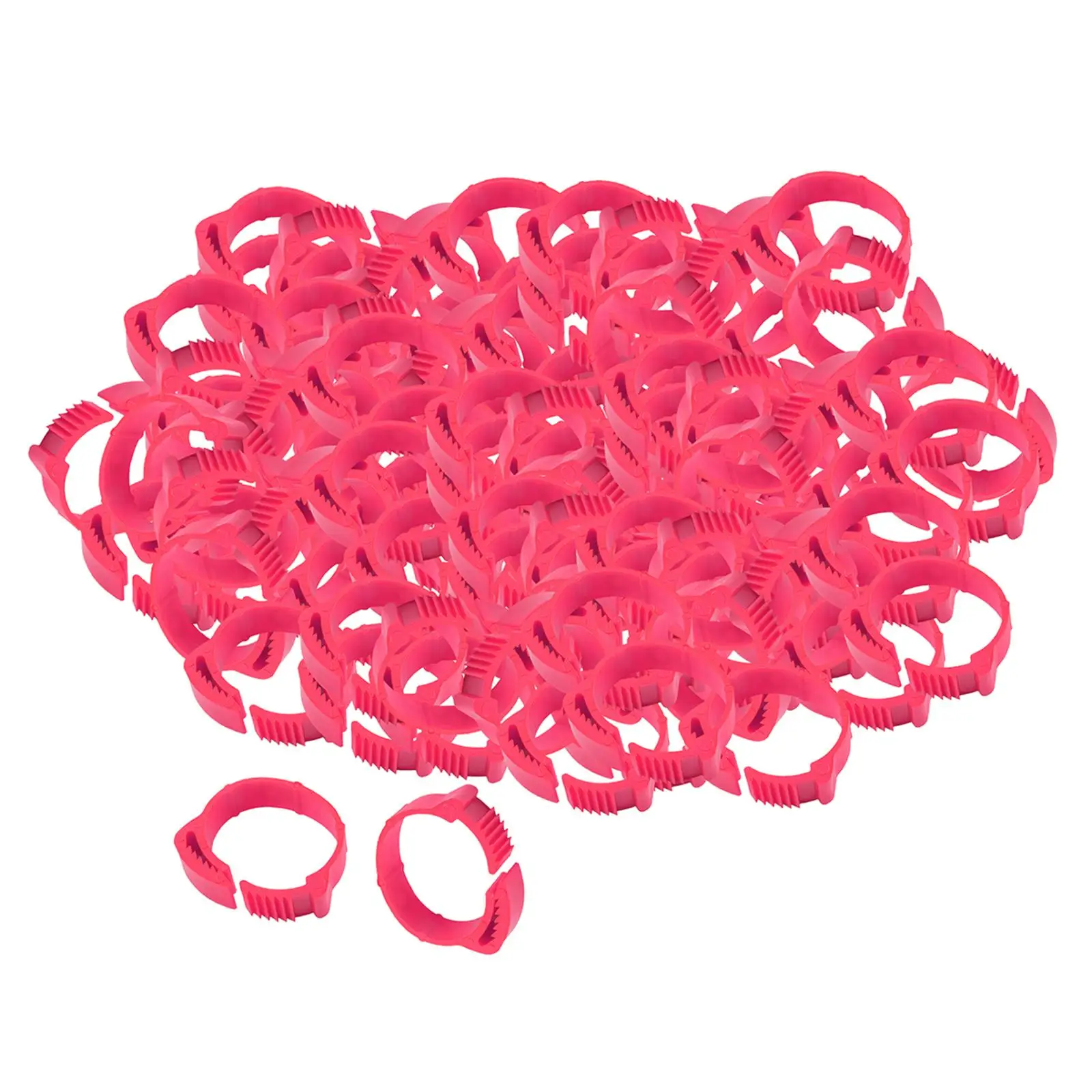 Plastic Poultry Ankle Bands Adjustable Foot Ring Labels for Farm Gamefowl Chicks Hens Ducks Easy Sorting