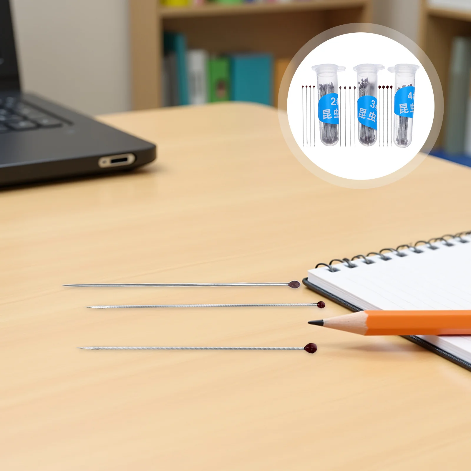 

300Pcs Stainless Steel Insect Specimen Pin Smooth Head Secure Grip for Biology Lab Specimen Preservation and Insect Collecting