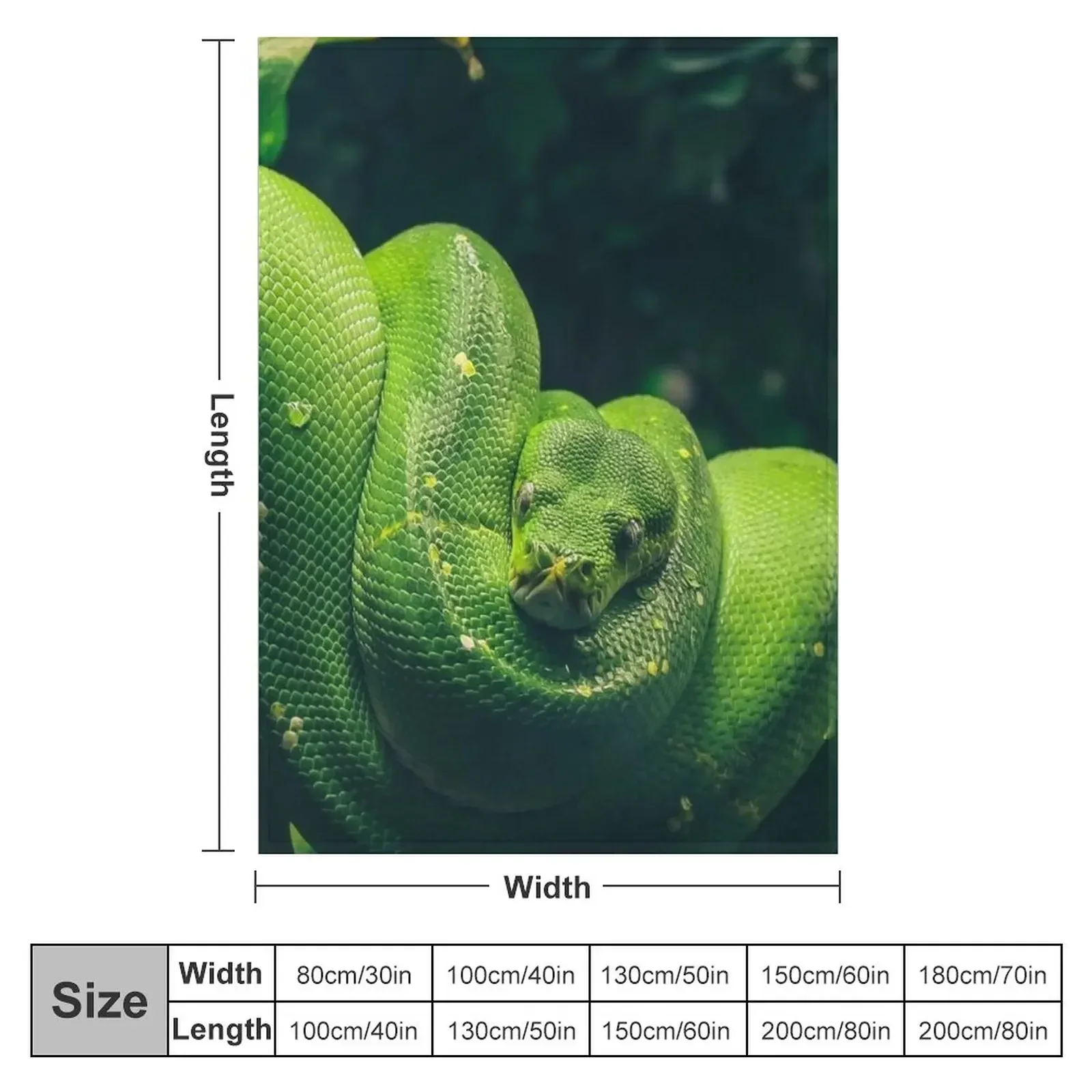 Green Tree Python Throw Blanket Soft Big Tourist Thin Thermals For Travel Blankets