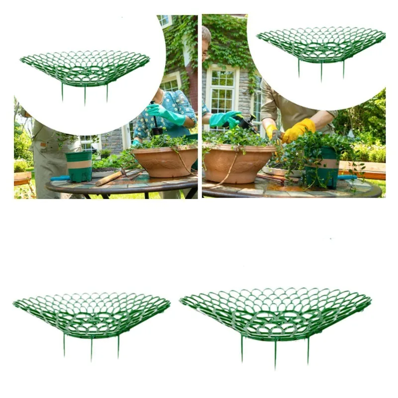 

Strawberry Plant Support Stand Protection Plant Trellis Strawberry Supports