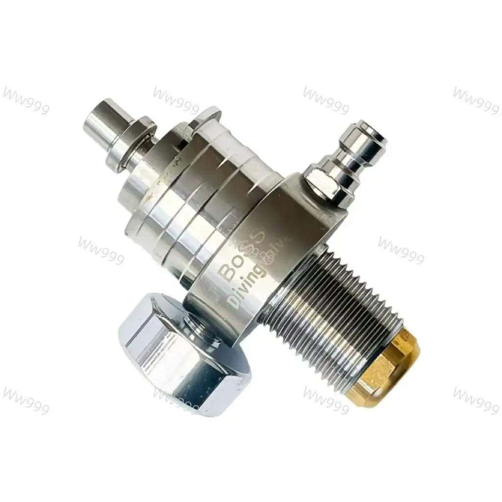 Air Force Constant Pressure Valve, Direct Injection Valve, BOSS Stainless Steel Valve, Connection Thread M18 * 1.5