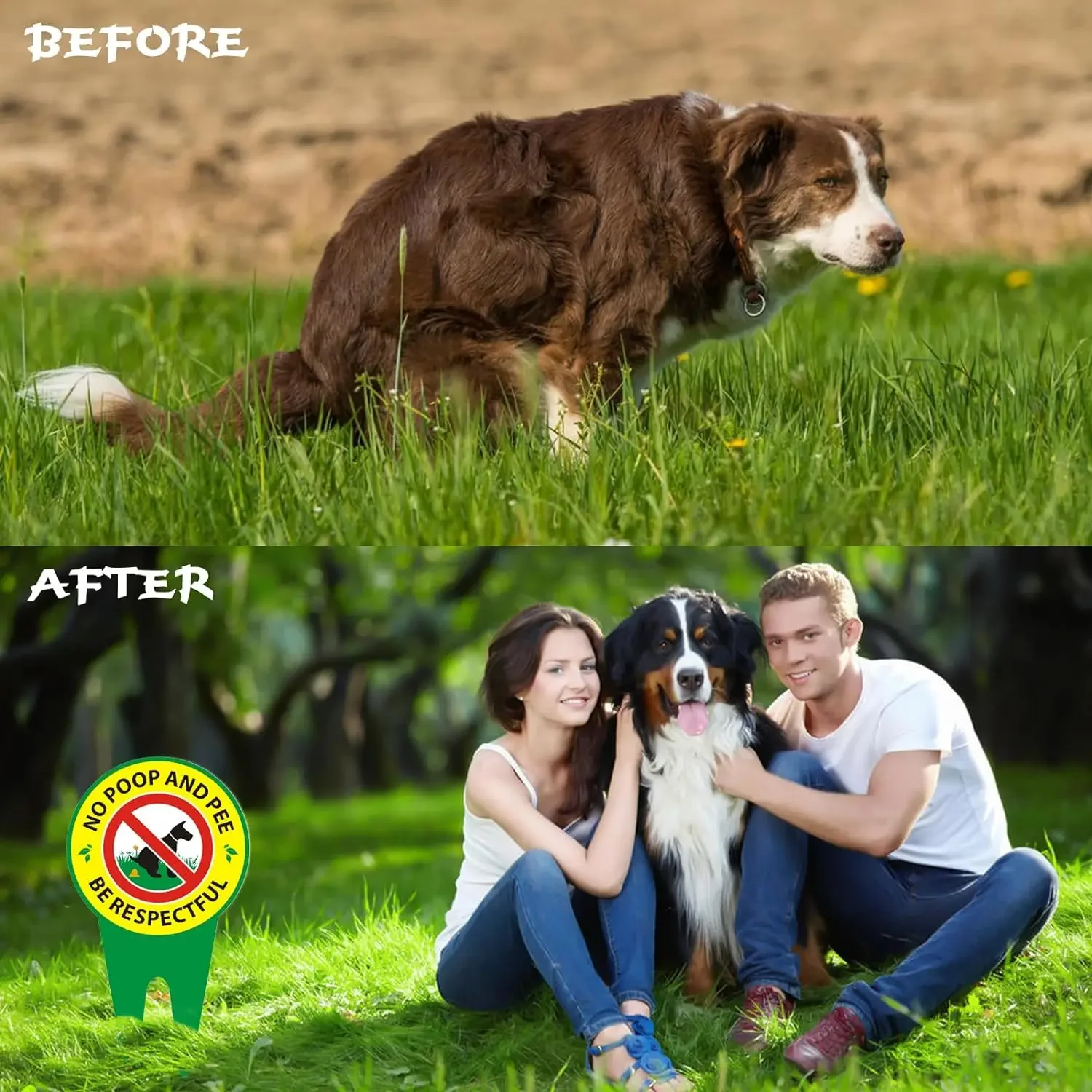 Dog Poop Metal Tin Sign-No Dog Poop and Pee on Lawn- No Pets Dog Signs for Yard Grass -Keep Off Grass Sign -No Dogs Allowed Sign