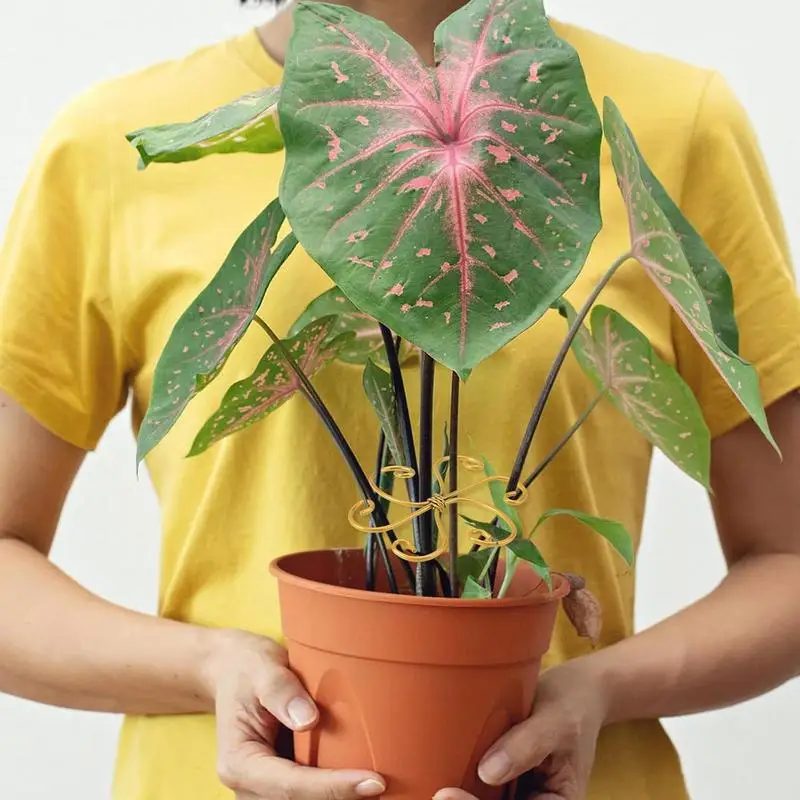 حامل جذع الزهور حديد قابل للتعديل وقابل لإعادة الاستخدام حامل جذع النبات مضاد للتحميل ومضاد للانزلاق تعريشة حديقة قوية للحديقة