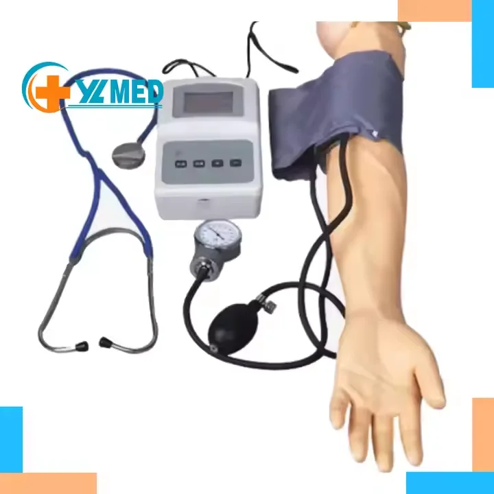 Adult Simulation Arm Blood Pressure Measurement Training Model In-Hospital Training Blood Pressure Simulator for Medical Science