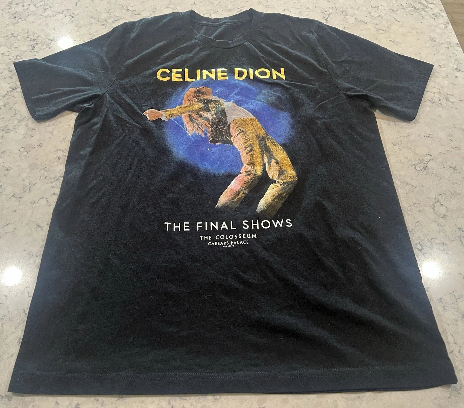 Rara camiseta negra de manga corta para el despedida de Celine Dion en el coliseo