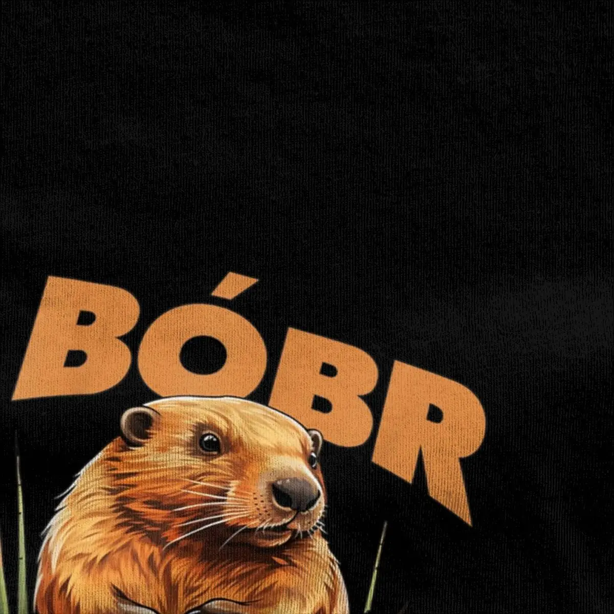 Bober Kuwa T Shirt Men's Bober Beaver Bbr Y2K Funny 100% Cotton T-Shirts Summer O Neck Hip Hop Tee Shirt Wholesale Oversize Tops