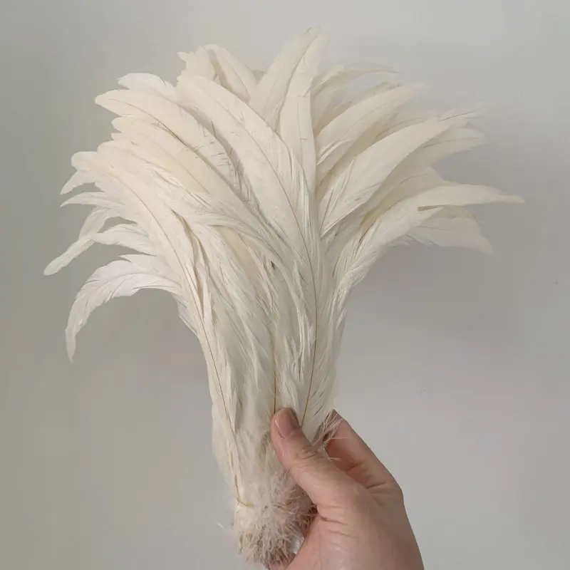 Hahnenschwanzfeder, 100 Stück, Rot, Schwarz, alle Größen, DIY-Feder, Kleidung, Schmuck, Accessoires, Hochzeitszubehör, Leistung erforderlich – Detail 3