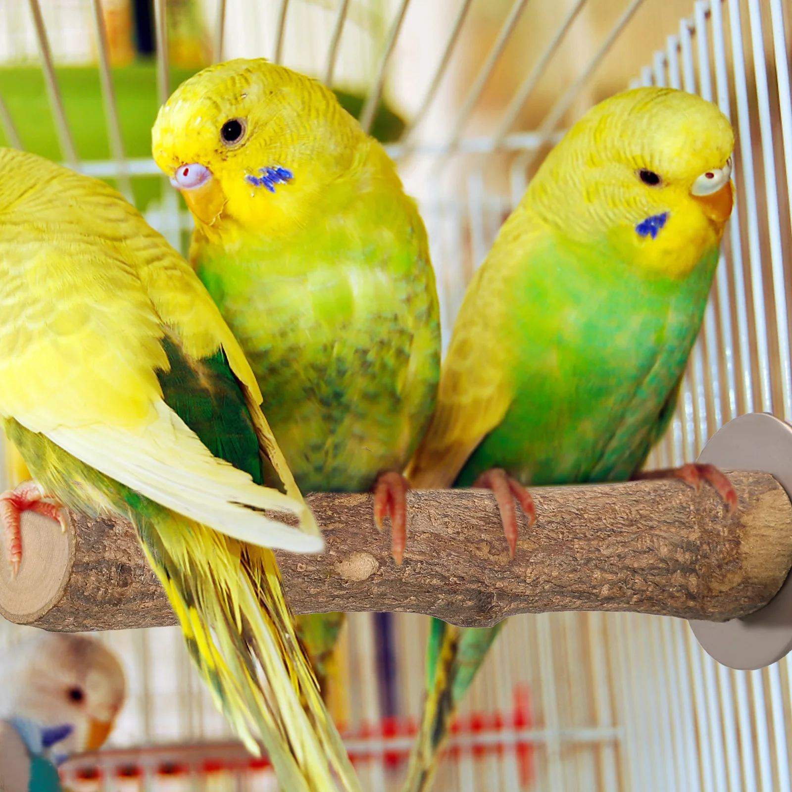 

1 Wooden Bird Claw Sharpener 10cm Long 1.5 2.5cm Diameter Natural Wood Perch Small Birds Parakeets Cage Toys Platform Bracket St