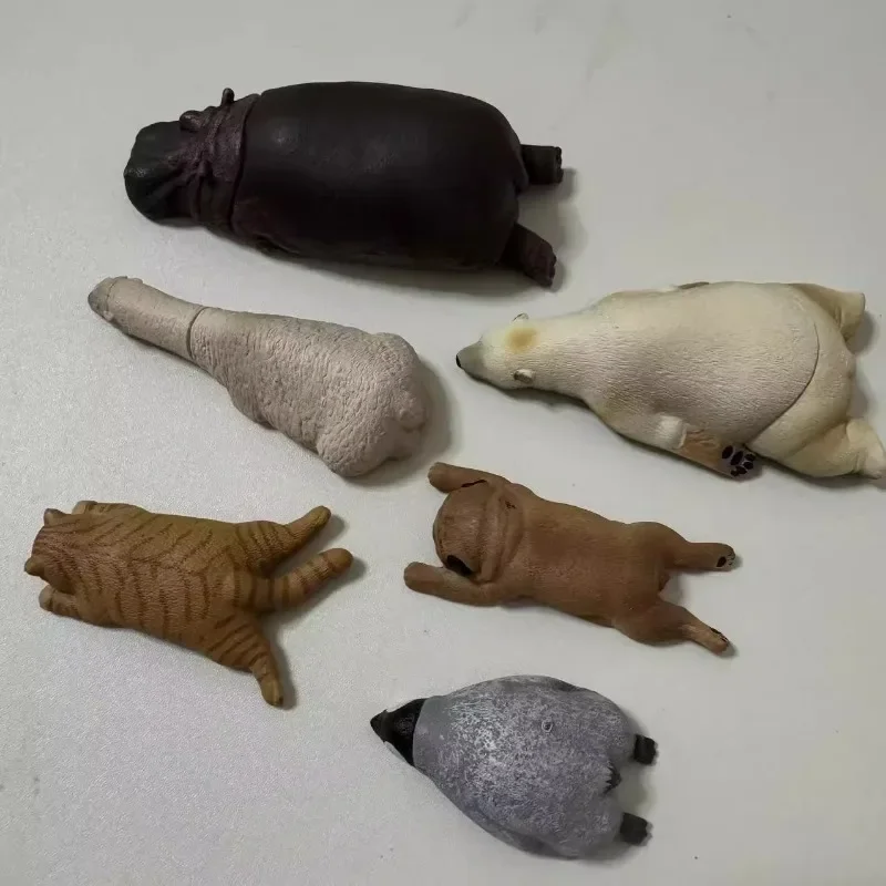 Zoo Sleeping Animals Series Gashapon Toys Pug Penguin Polar Bear Cat Alpaca Hippo Creative Model Decoration Ornaments Toys